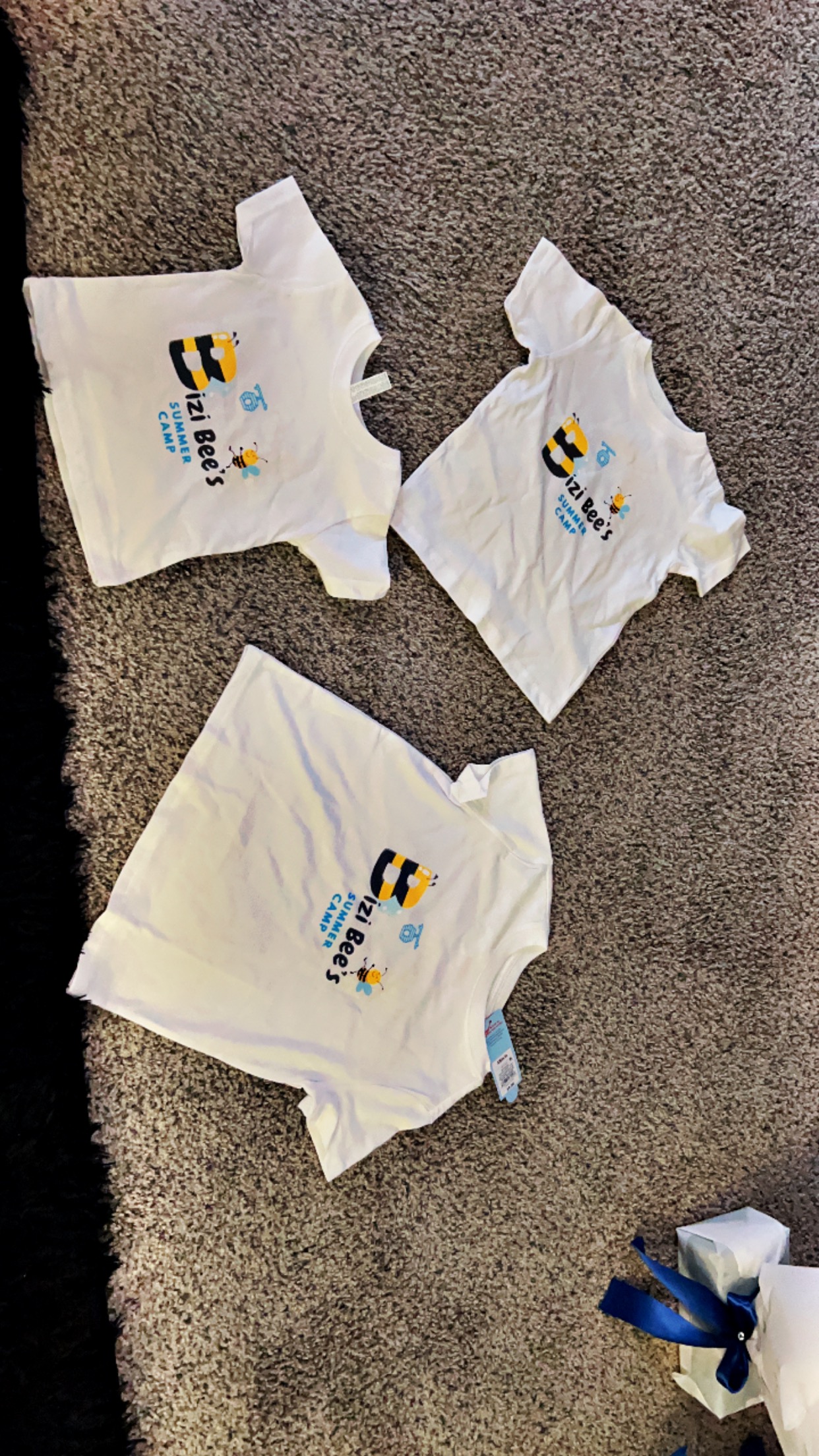 Bizi Bees Summer Camp